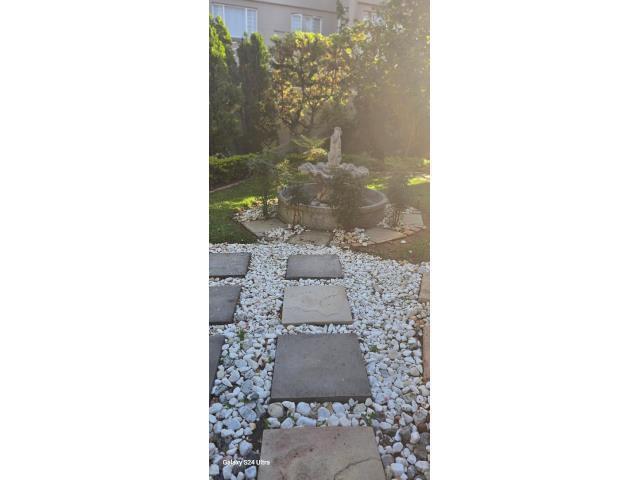 pic_61519895_640x480